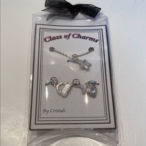 NIP Class of Charms by Cristals